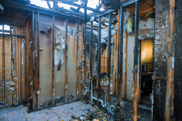 Professional Fire Damage Removal technician working in Arabi, LA